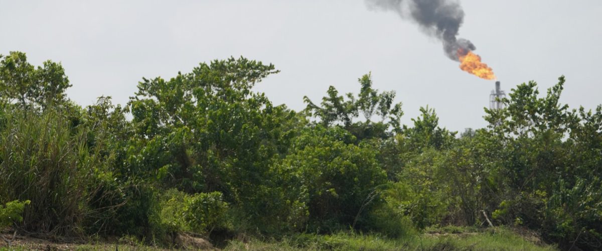 nigerdelta nigerdelta